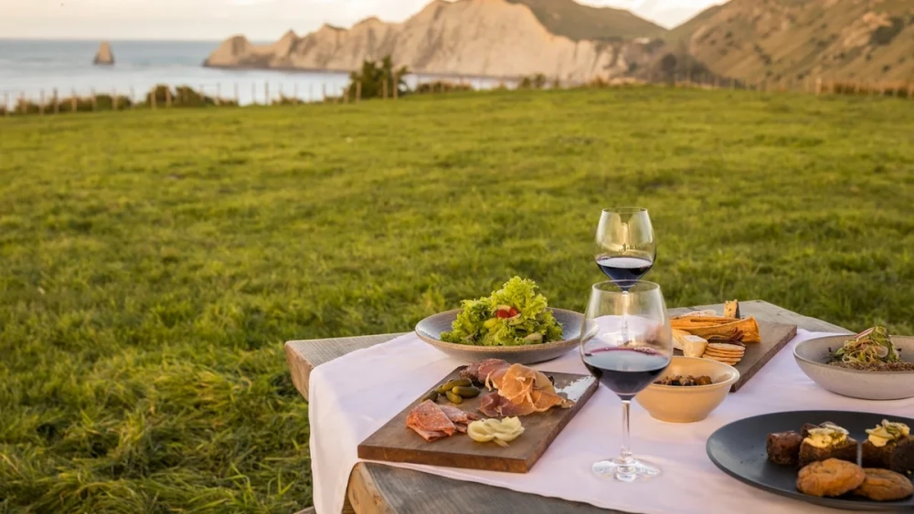 Explore New Zealand's Best Wine Regions: A Traveler's Guide